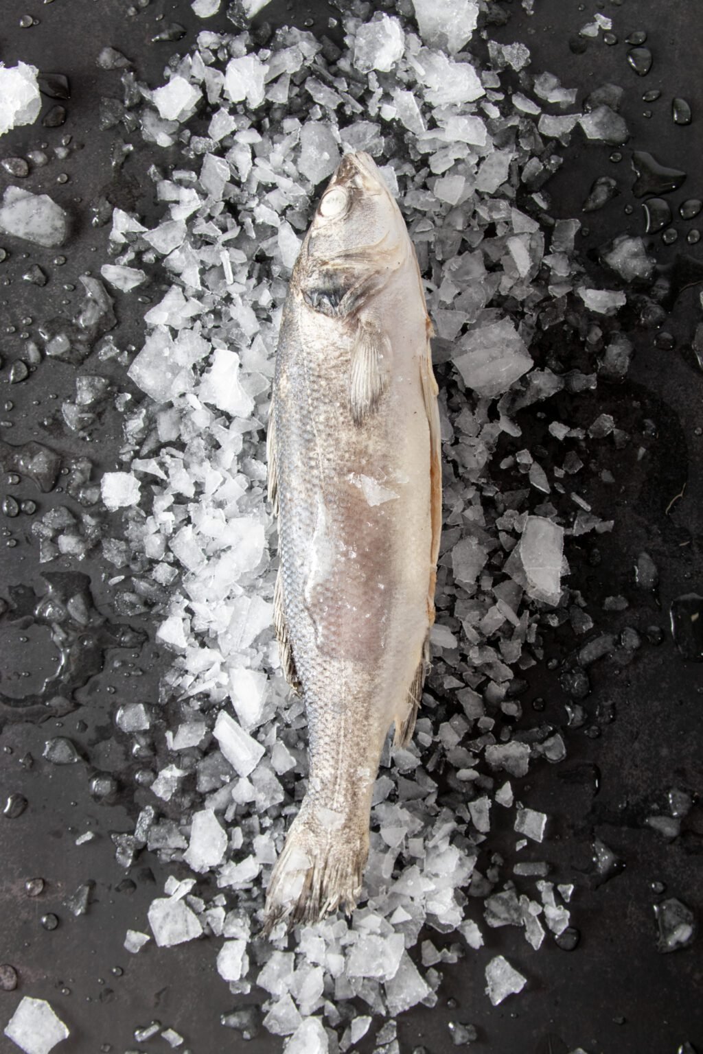 Poseidon-13