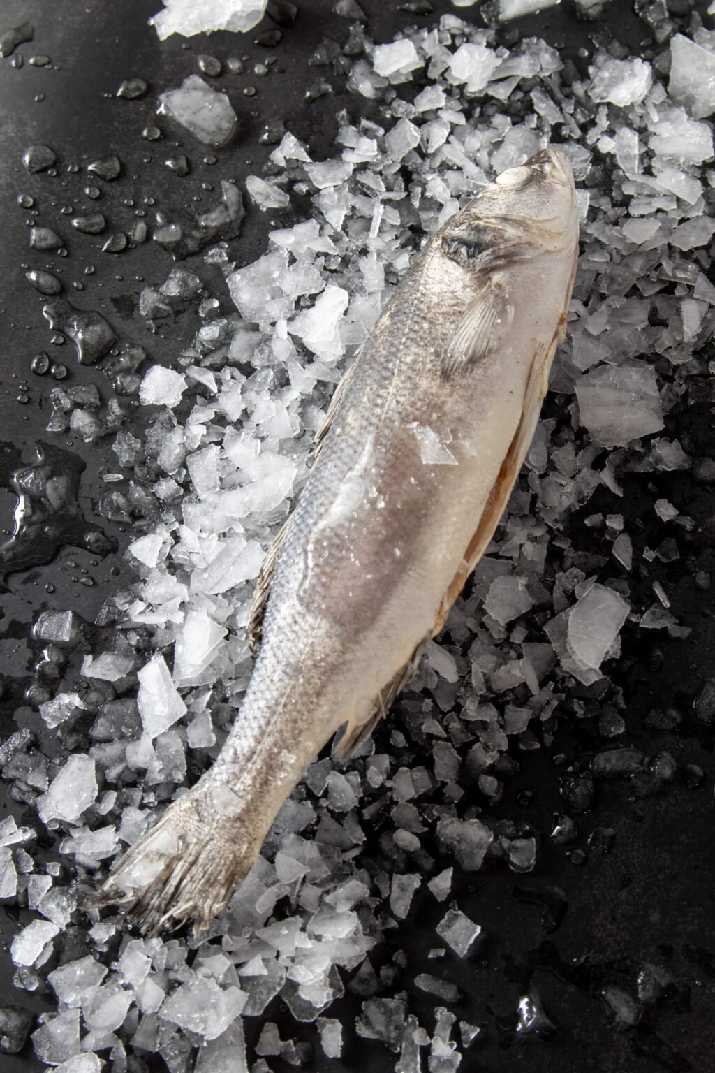 Poseidon-14