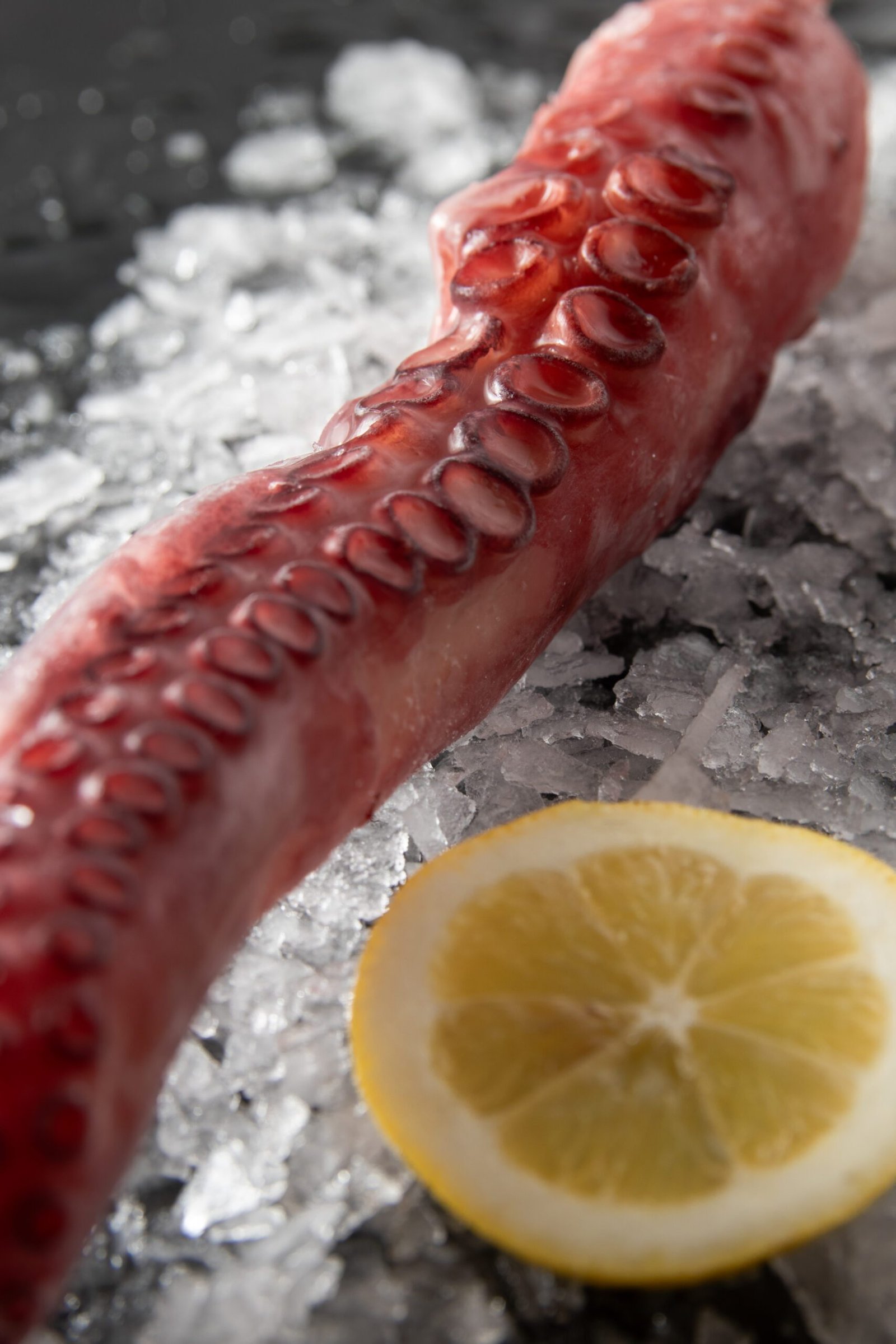 Poseidon 45 1 scaled